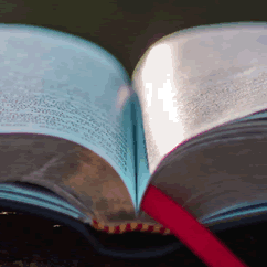 Bible Hub